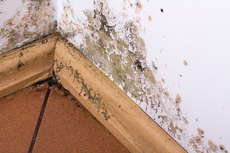 Mold and Mildew Growth